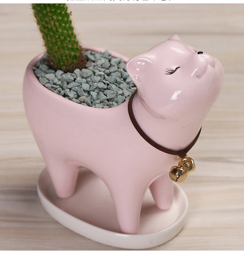 ceramic cactus flower pot Ceramic Cat Tail Cactus Flowerpot